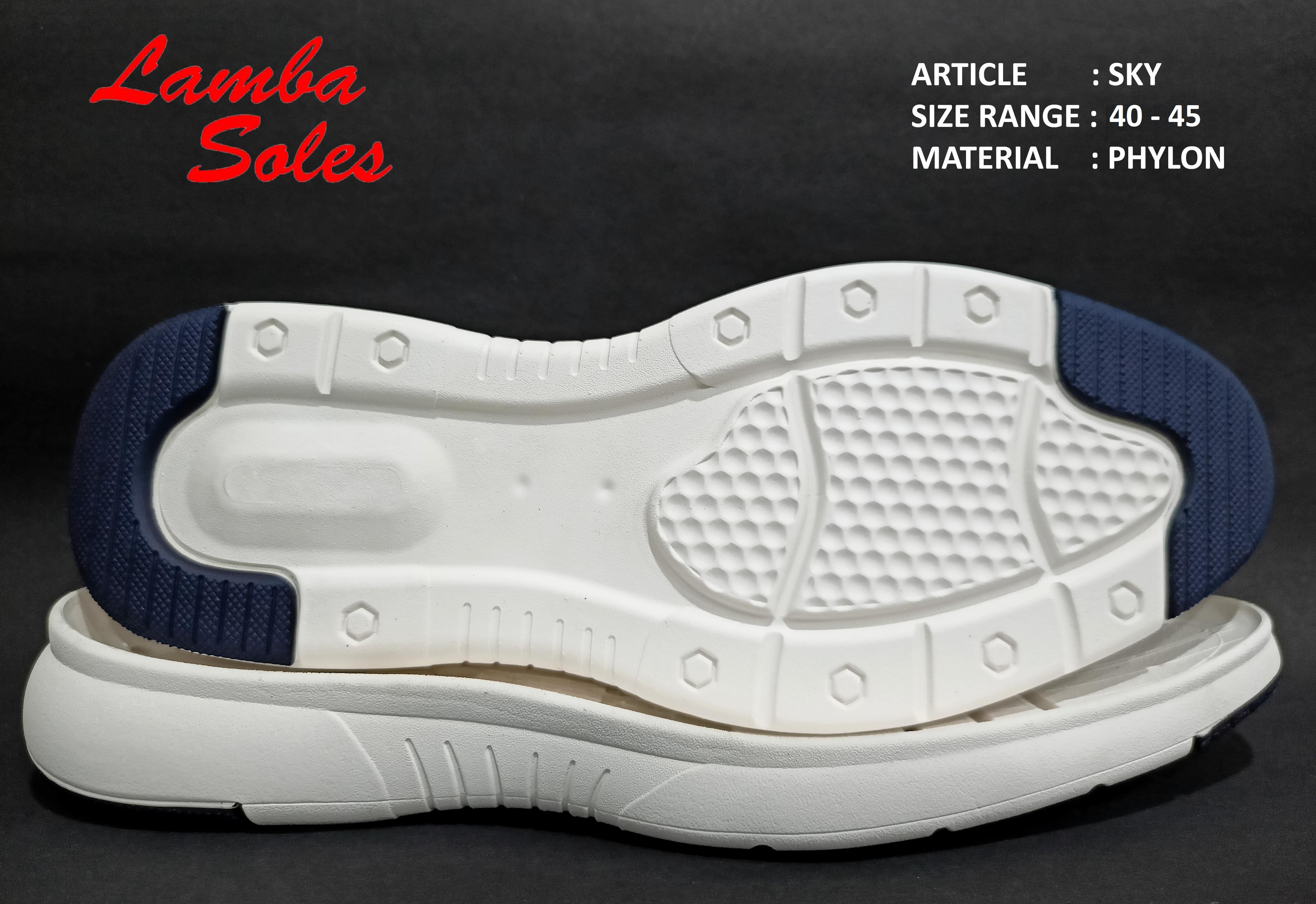 EVA & Phylon Soles Image